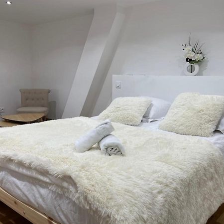 Apartament Le Duplex - Gare / Tram / Netflix Fontaine  Zewnętrze zdjęcie